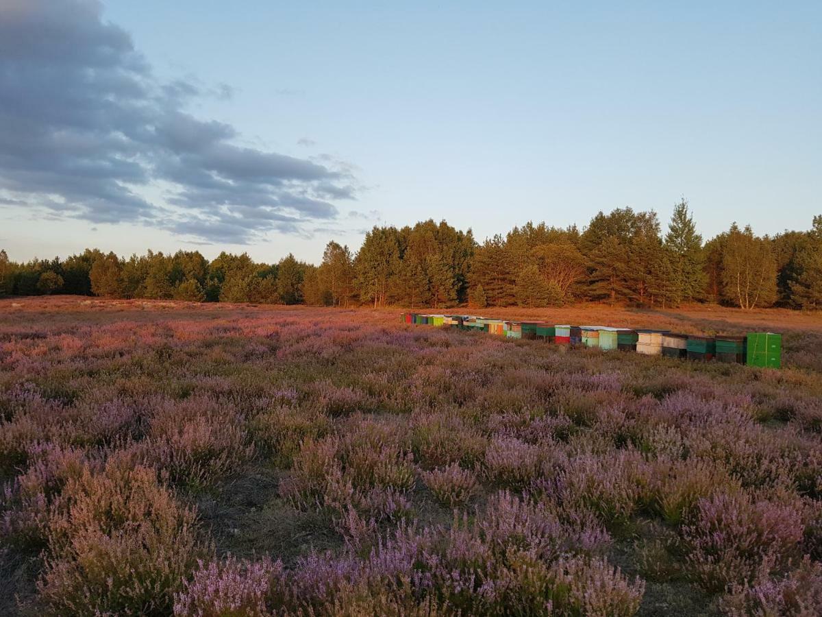 Willa Reverans Borne Sulinowo Esterno foto